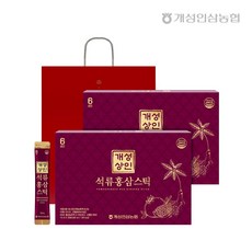 개성상인 석류홍삼스틱 10ml 30포 x 2박스 (총 60포) /전용쇼핑백 /개성인삼농협, 2개, 300ml