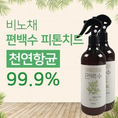 몽블편백수