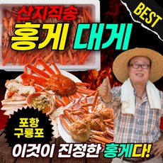 대게파지