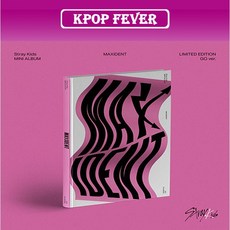 스트레이 키즈 Stray Kids 맥시덴트 맥시던트 MAXIDENT 리미티드 LIMITED 한정반