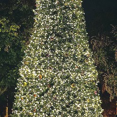 fbc0358c56e9a5d22df5e97810e8942f544d4f4f2913aed738db36807b90.jpg