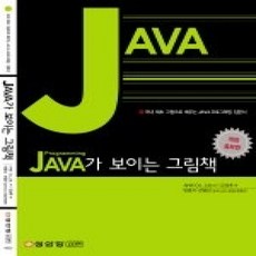 [개똥이네][중고-상] Java가 보이는 그림책