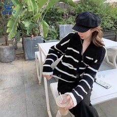 폴로니트가디건