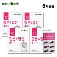 생리 철분제 철분 엽산, 4박스, 60정