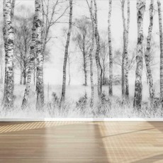 뮤럴벽지자작나무