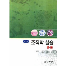 기초조직학
