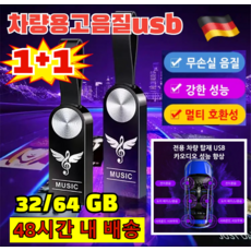 1+1 차량용 고음질 USB 32GB/64GB 차량용 무손실 음악 USB 휴대용초고속 USB 휴대용 메모리, 32GB