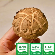 무농약 유기농 우수농산물 트리플 인증 정품 용인 표고버섯, (생)고급버섯 1kg