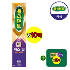 폴리덴트 맥스씰 의치 부착재 10개+샘플 5개 증정, 10개, 1개입