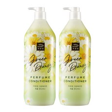 미쟝센 그린데이지 퍼퓸 컨디셔너 1100ml 2개