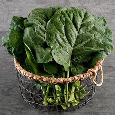두리 케일 녹즙용 1kg, 1개