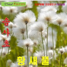 6cfbe6224dfdcccb5defea4c07faa7788130c4f61863b890f4a9487e1bcb.png
