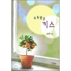 소설도둑맞은책