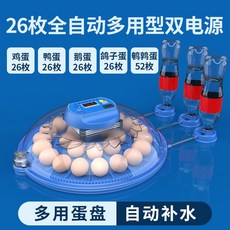 미니 계란부화기 스마트 사육 자동 알 조류 부화기 달걀 메추리, 26개의 완전 자동 이중 전기, 1개