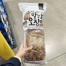 은하수산말랑오징어