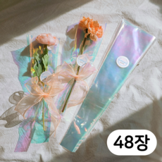 하리움 오로라 홀로그램 봉투형 꽃포장지 48장, 한송이(S)