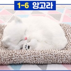 심쿵펫