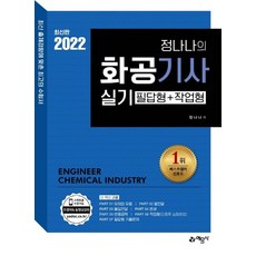 정나나화공기사실기