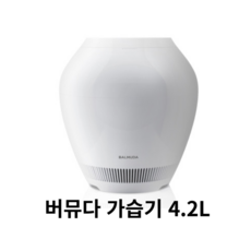발뮤다가습기 TOP01