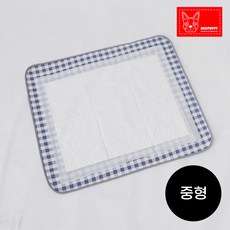 레드퍼피 HIN 방수패드 카페트-중형 애견용품, 방수패드카페트중형블루