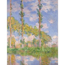 Poplars in the Sun, 그림만(매트지), 21x26.76