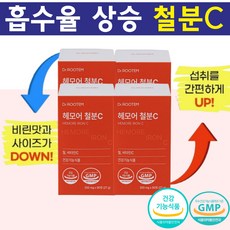 철분 비타민C 빈혈 철분제 어지럼증에 좋은 영양제 빈혈약 식물성 철분 흡수율 높은 철분제