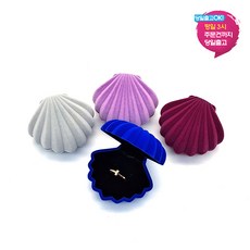 반지스웨이드케이스