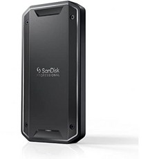 SanDisk Professional 4TB PRO G40 SSD 최대 3000MB s Thunderbolt 3 40Gbps USB C 10Gbps IP68 먼지 내수성 외장, 2TB