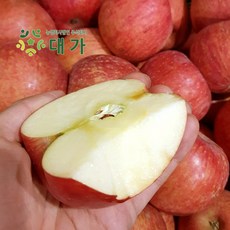 //상품명