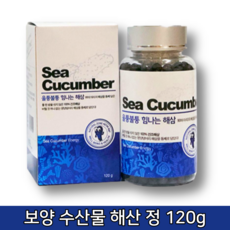 말린 바다 남자 남성 면역력 건 건조 해삼 사포닌 환 정 분말 120g 효능 효과 바다인삼