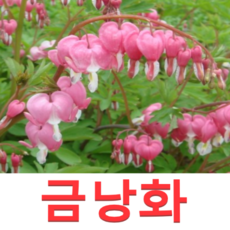4ada3bfef24a045b1eff98bad93f680de405812b249d68734a8db4ed0952.png