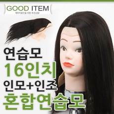 연습가발인모