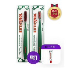 유시몰 영국 프리미엄 명품 칫솔 2입 [레귤러/클래식] 택1 + 미니치약 20g, 레귤러, 1개