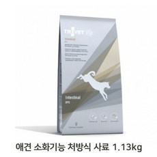 스텔라앤츄이스샘플