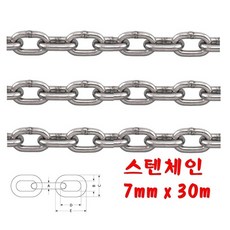 그네체인