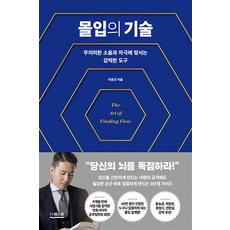 몰입의 기술 -무의미한 소음과 자극에 맞서는 강력한 도구, 더퀘스트, 이윤규