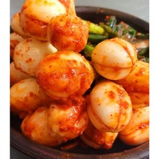 맛과 정성 주문후만든는 수제김치 해남 해주네 반찬(김해주), 양파김치, 1kg