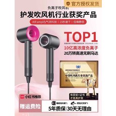 헤어 드라이어 고출력 고속 저소음 속건성 다중시설 매끄러운 모발관리 곱슬머리, 상세페이지 참고, 브론즈 컬러 (20억 보습 음이온) 오풍 입