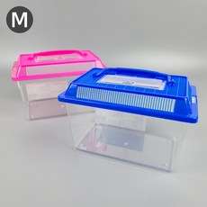 아이비스 곤충채집통(M SIZE) [11662]