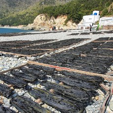 순자네 거제도 여차 돌미역 자연산돌미역 산모 건미역, 1개, 120g