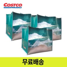 코스트코 푸른바다 장바구니 시장가방 52X29cm 쇼핑백 여행 타포린백