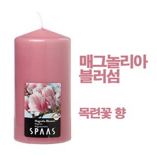 스파스캔들