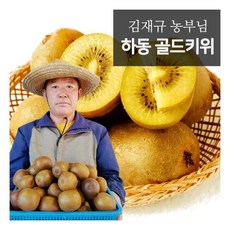 하동 맛있는 GAP 인증 골드키위 10kg (115과내외), 1개