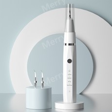 애견 초음파 전동치석제거기 펫 덴탈클리닉 셀프 반려견 반려묘 스케일러 생활방수, [5단]펫치아클리너-화이트, 1개