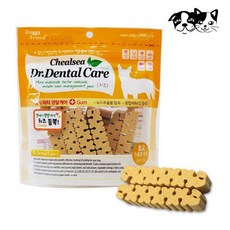 첼시 닥터 덴탈케어 치즈 100g 강아지 간식, 1개