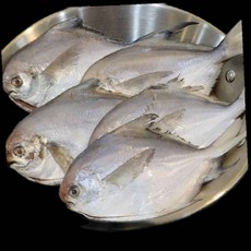 손질 병어 10마리 순살필렛 93000EA, 1개
