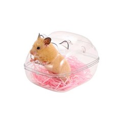 hamster-s