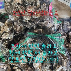 완도 2년산 월하굴 10kg (50-70미내외) 대1박스 석화 각굴 겨울제철 굴찜 굴구이