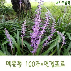 부여열기구가격