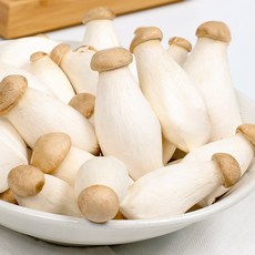 신선하랑 국내산 미니 새송이버섯, 1개, 미니 2kg